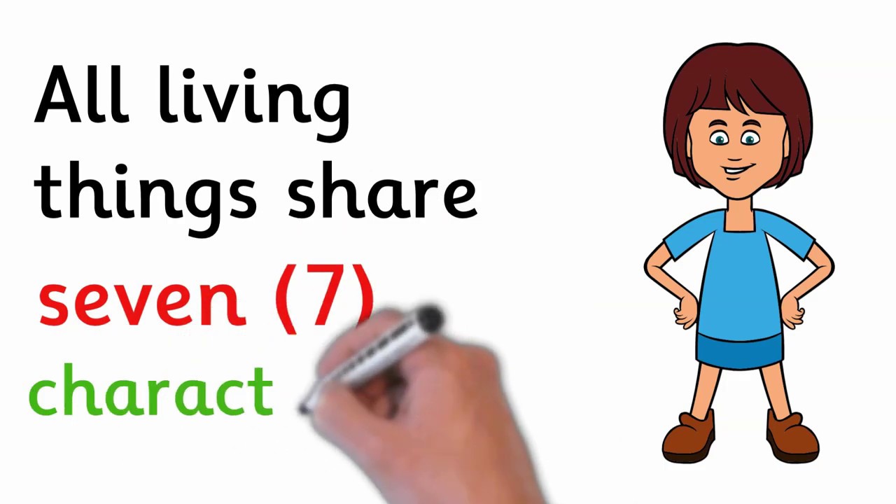 The Characteristics of Living Things | Educational Video for Kids | Preschool | Kindergarten