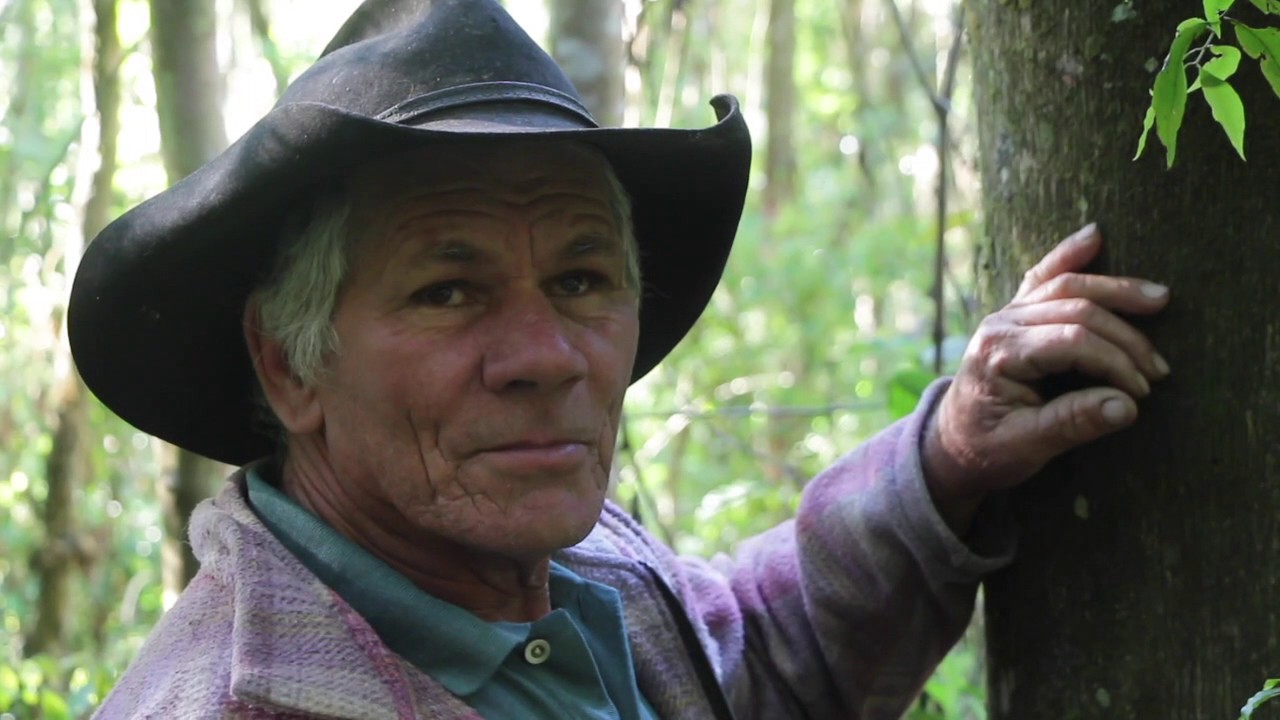 CONHECENDO AS PLANTAS DA MATA COM SEU BRAZ