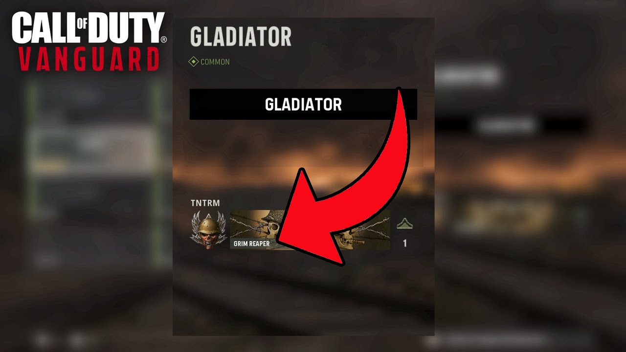 COD Vanguard: Every HIDDEN Player Titles