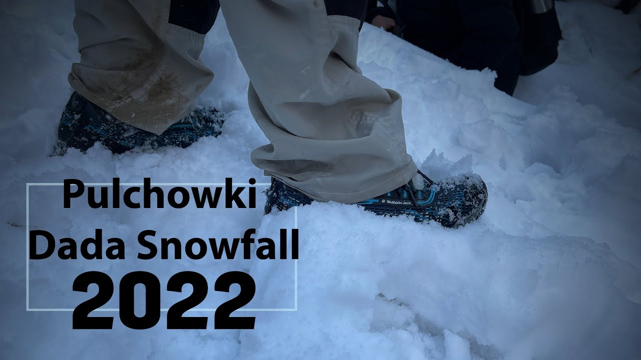 Snowfall in Kathmandu (Phulchowki hill)
