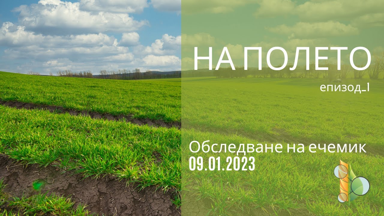 НА ПОЛЕТО /епизод_1/ - Обследване на ечемик 09.01.2023