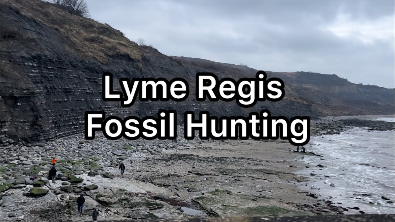 Lyme Regis Fossil Hunting