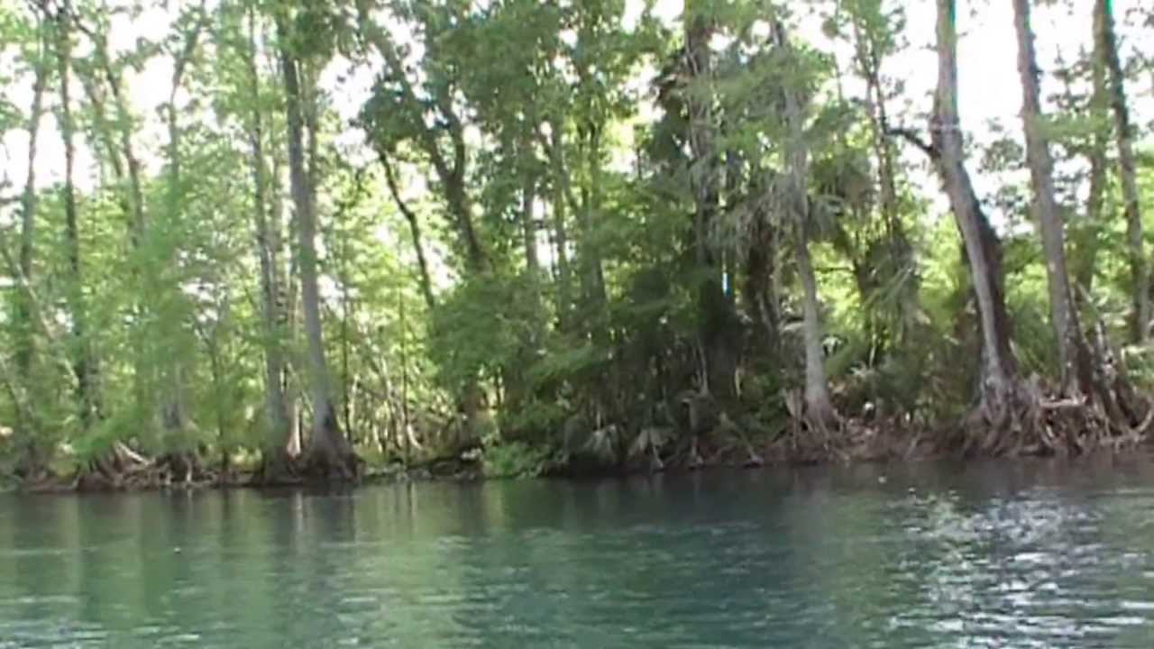 Veterans kayaking with IRISHWATERDOGS.