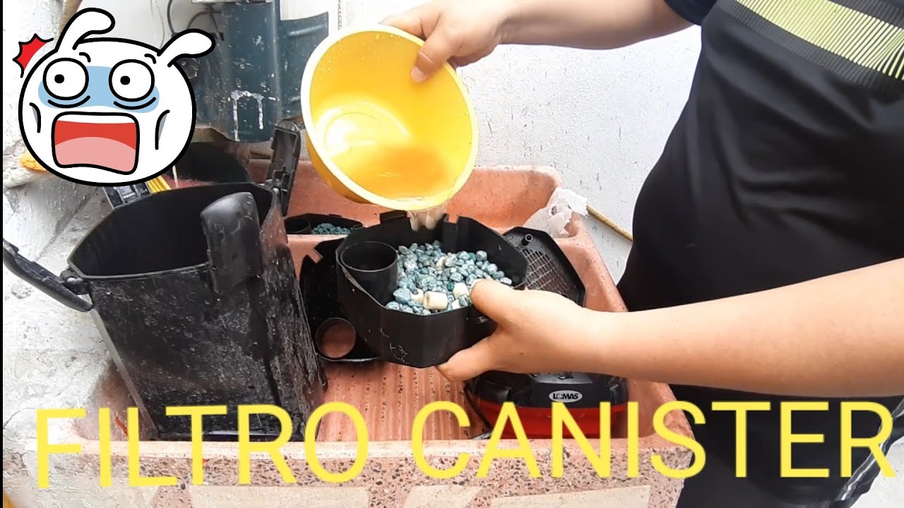 LA FORMA CORRECTA DE LAVAR UN FILTRO CANISTER