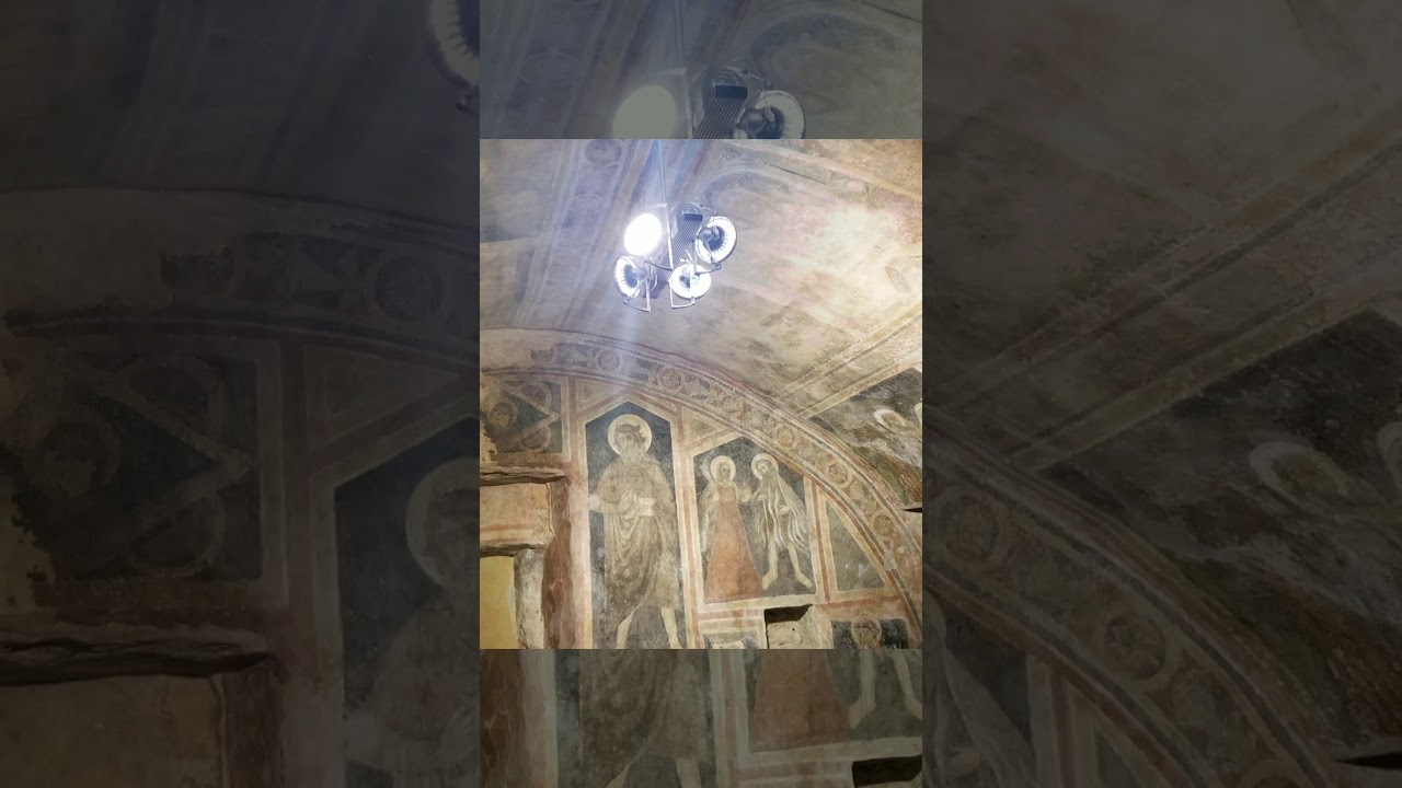 Jelsi 2019