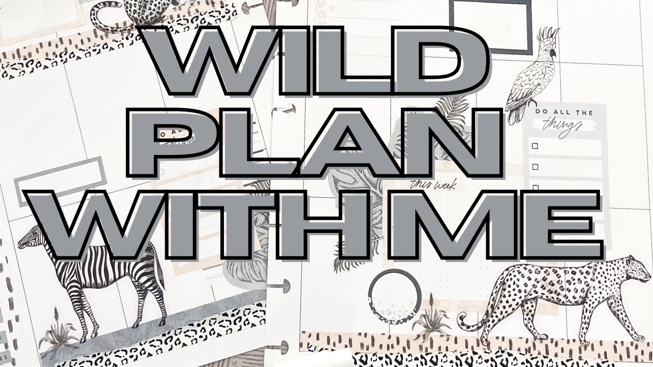 PLAN WITH ME  | CLASSIC HAPPY PLANNER | WILD PLANS