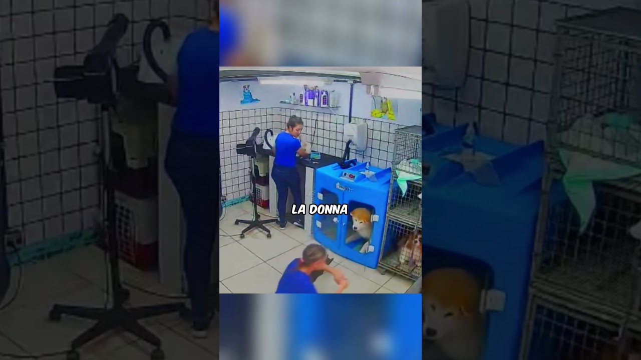 Il cane si spaventa e la MORDE, ma POI...🥹❤️