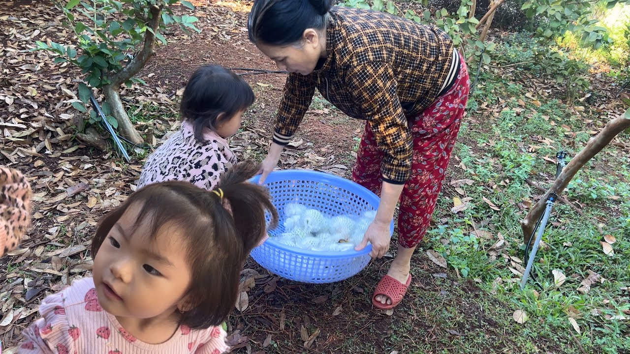 CẢ NHÀ LÊN ĐƯỜNG VỀ BÌNH DƯƠNG MẸ GỌI BÁO TIN ANH HAI BỊ TẠI NẠN NHẬP VIỆN 