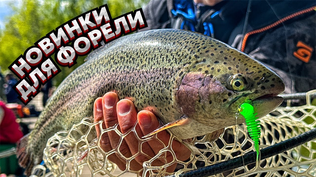 Эти новинки КОСЯТ форель / Секрет ПРОФЕССИОНАЛА / Как поймать МНОГО?!