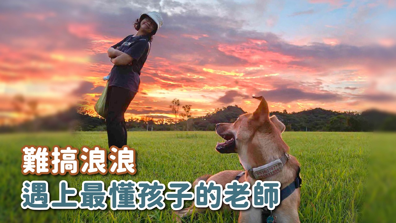 難搞浪浪，遇上最懂狗心的老師！ft. 