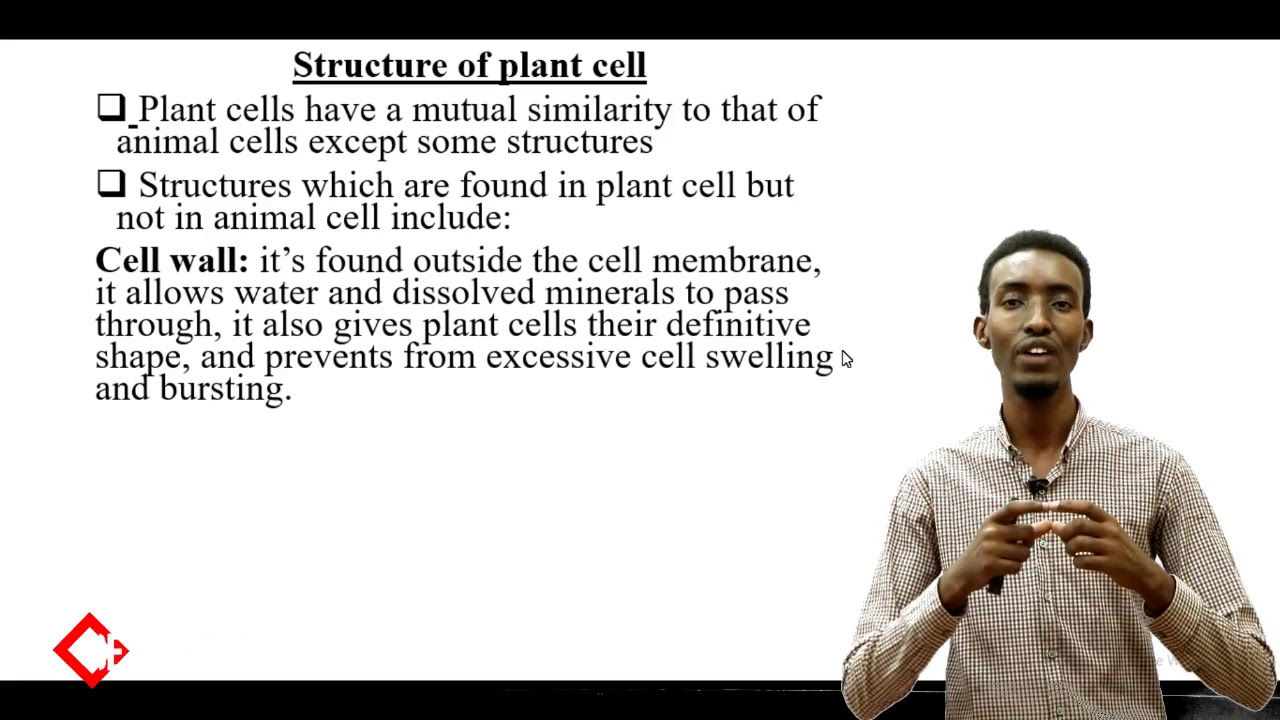 Lesson Three: Introduction to Biology