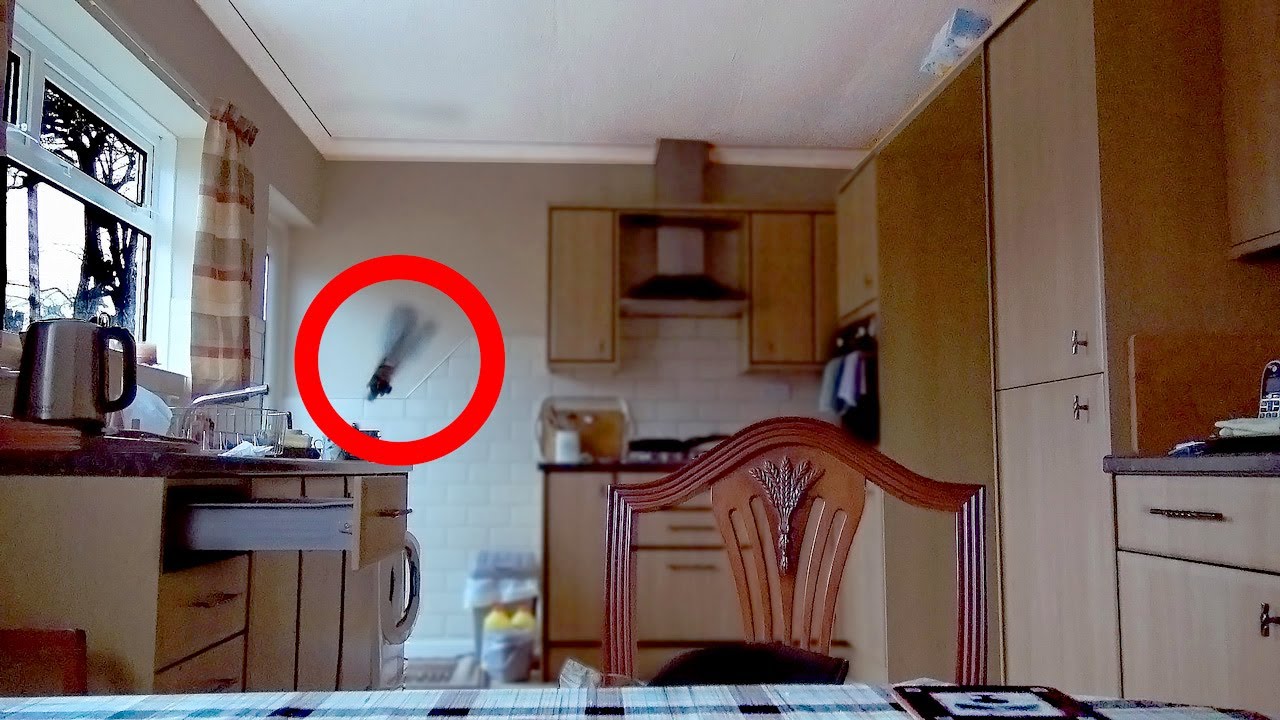 Poltergeist Activity Caught on Camera.  Paranormal Clips 2019 #2