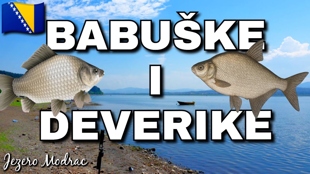 Pecanje BABUŠKE i DEVERIKE - Modračko jezero u BiH🇧🇦