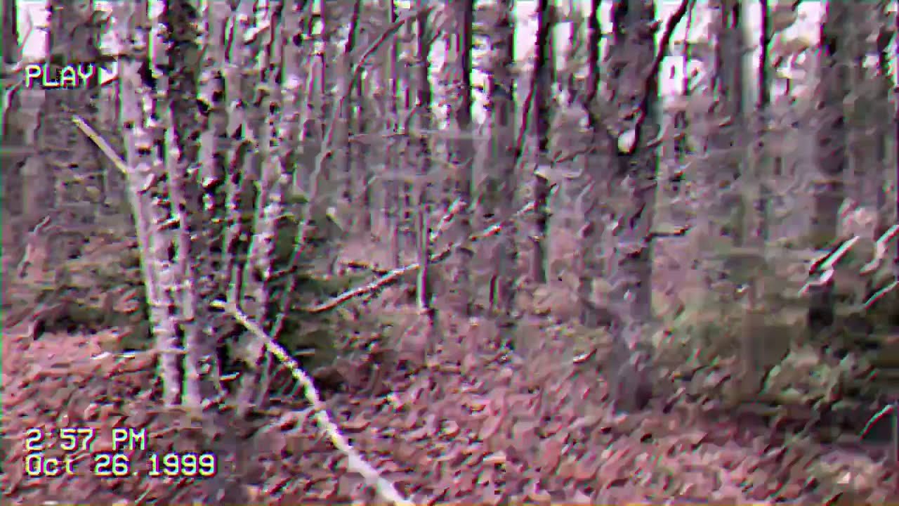 Recovered Tape: Burkittsville, Maryland
