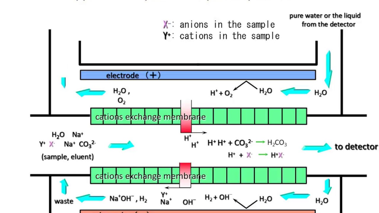 Ion chromatography:How does the suppressor work