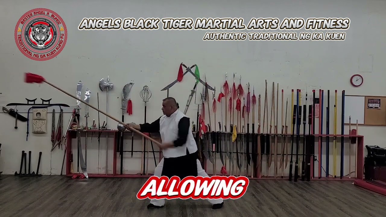 #nggakuenspear ##nggakuen #kungfutraining #kungfutraining #fightingsport