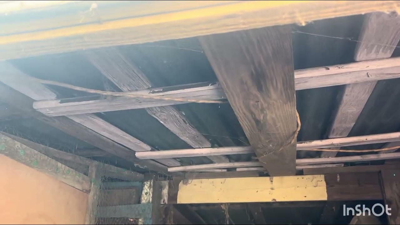Repairing a 20 year-old door