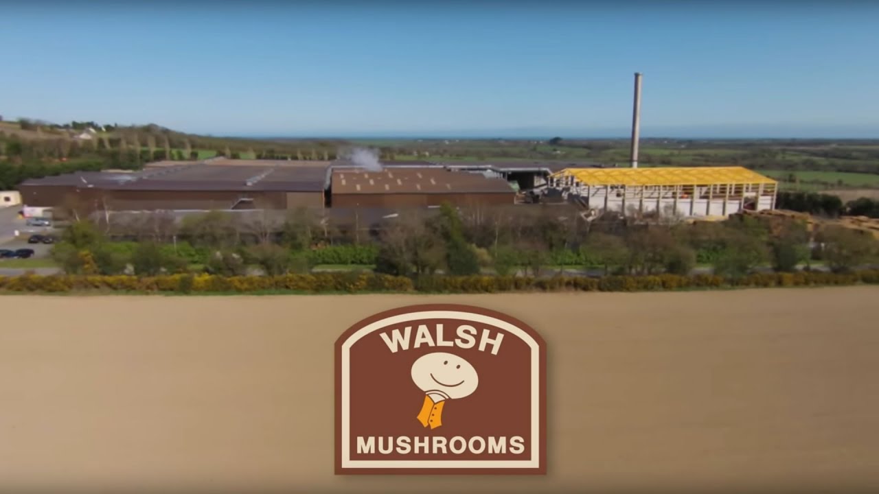 Walsh Mushrooms - Custom Compost 2013-2016