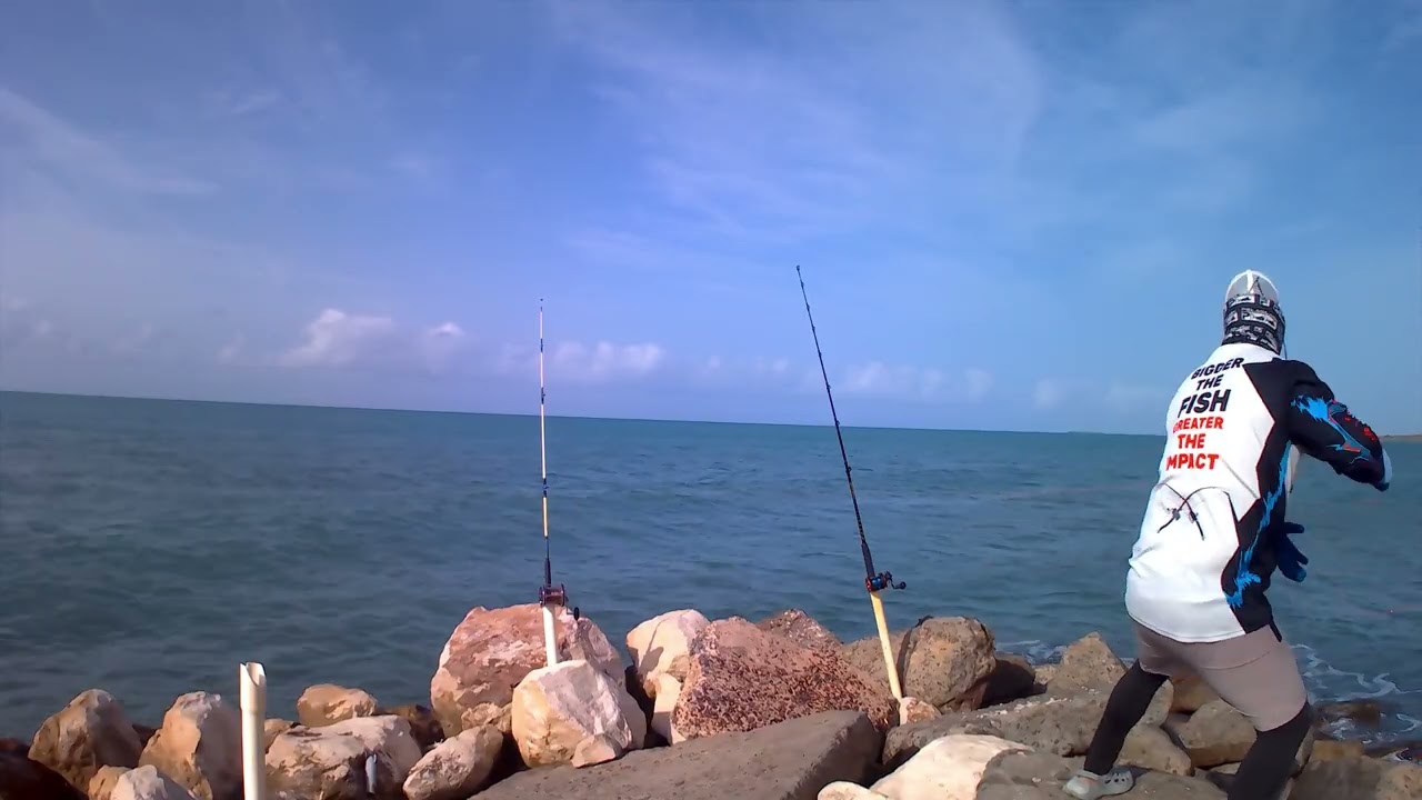 Pelea de Manta en el area sur de Puerto Rico