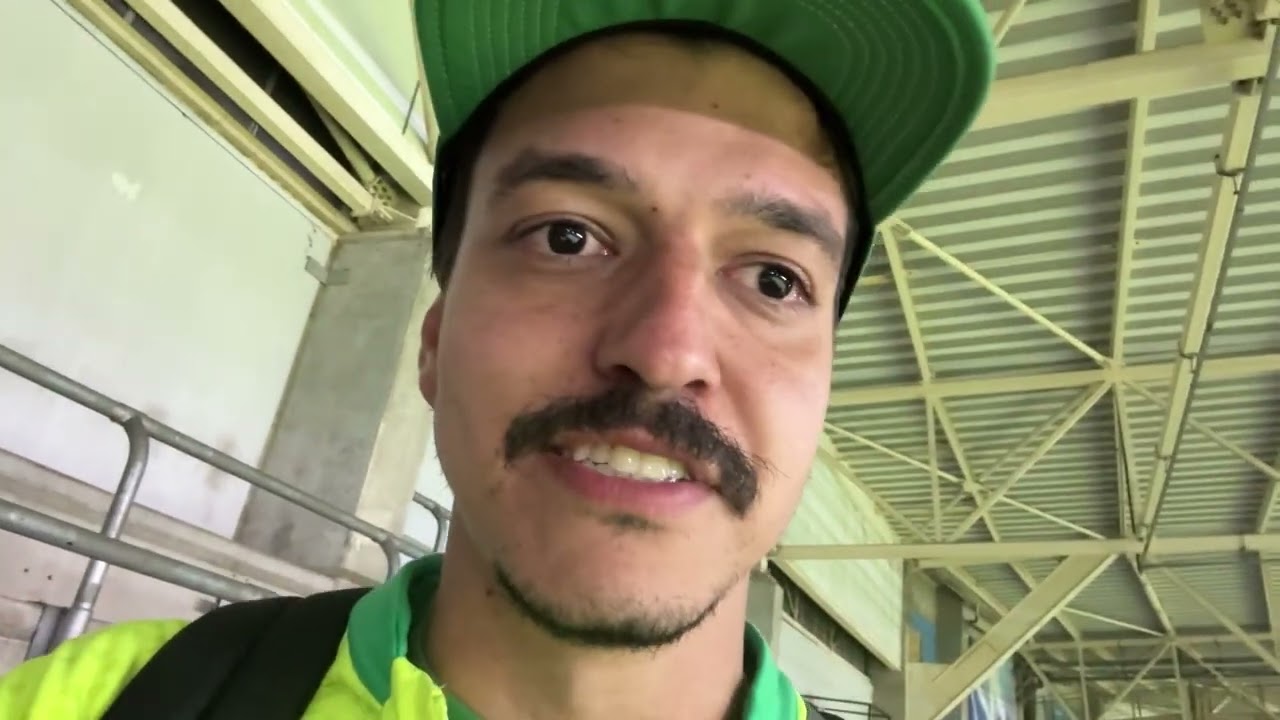 AMORIM RESUME VITÓRIA DO PALMEIRAS SOBRE O BOTAFOGO NO BRASILEIRÃO!