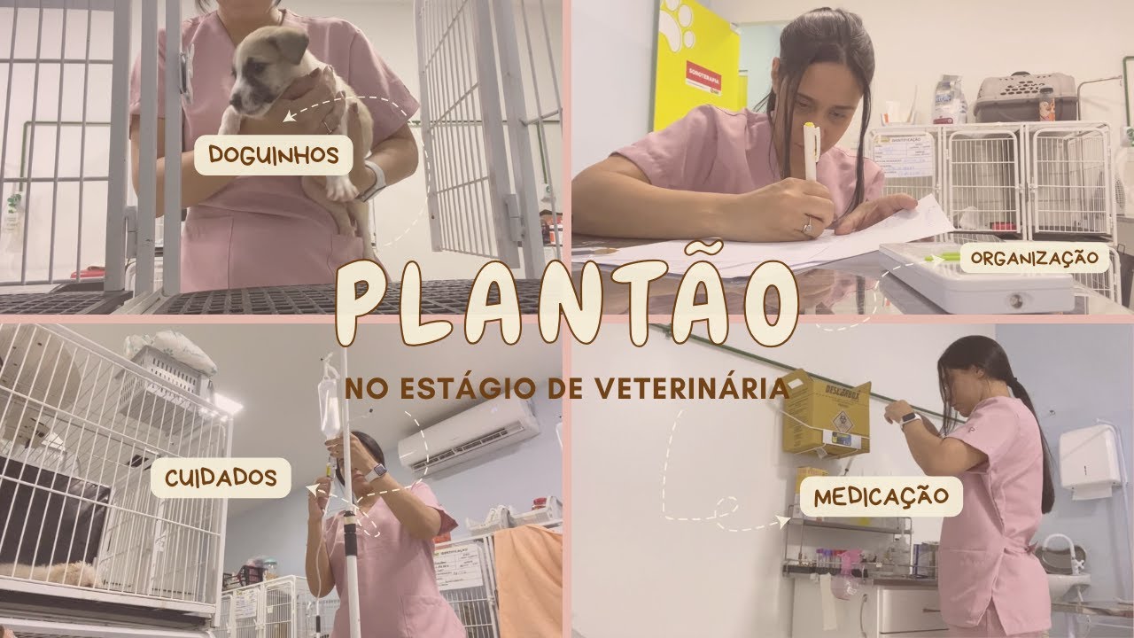 UM DIA COMIGO | Plantão no Estágio de Medicina Veterinária