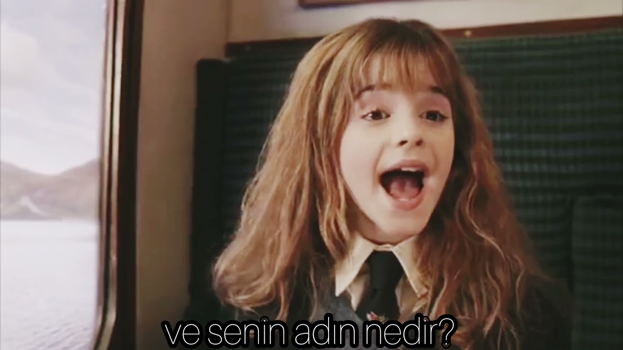 Pov: Y/N Hogwarts'a geldiği ilk gün......