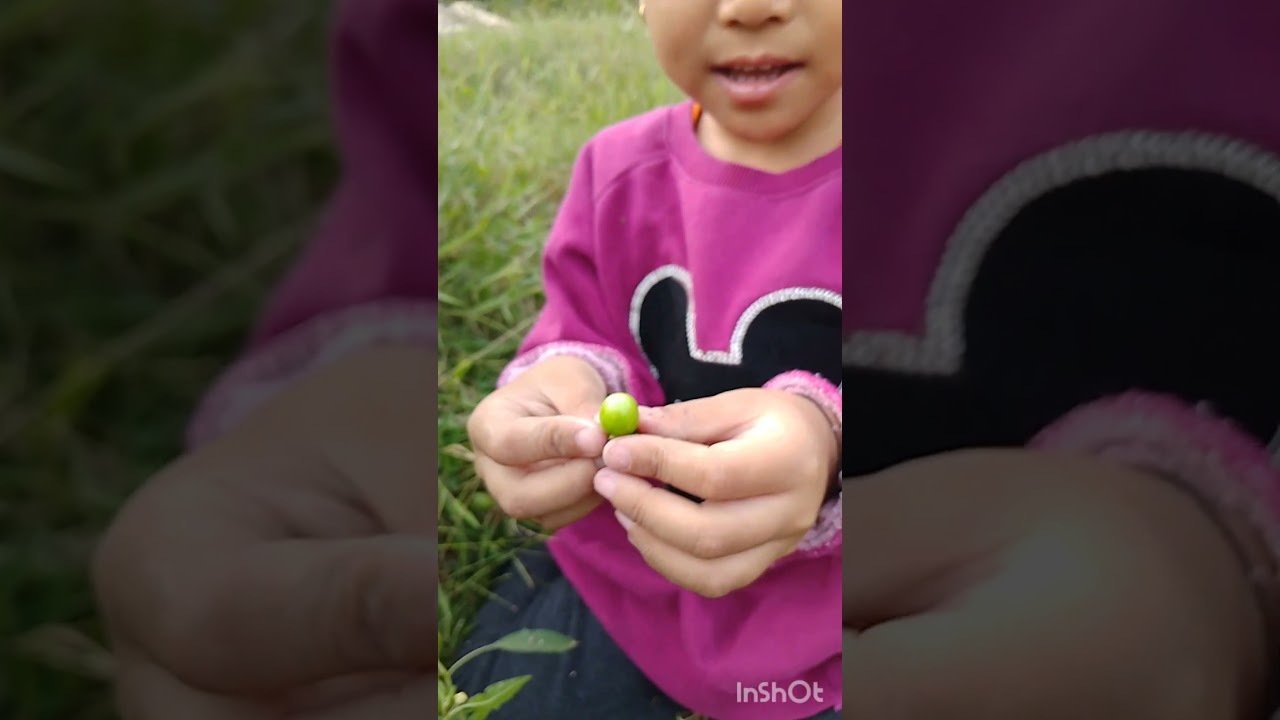 This is a delicious fruits mummy garden