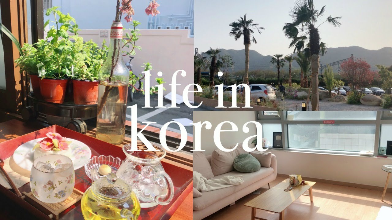 days in my life in korea | staying productive + what i eat