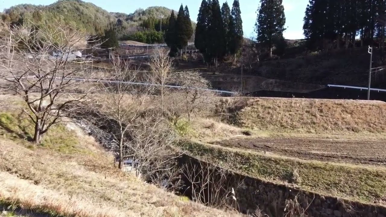農業2026 6 #農業 #空撮 #ドローン #DJI Mini2