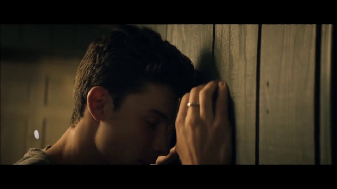 Shawn Mendes - Like This (Music Video)