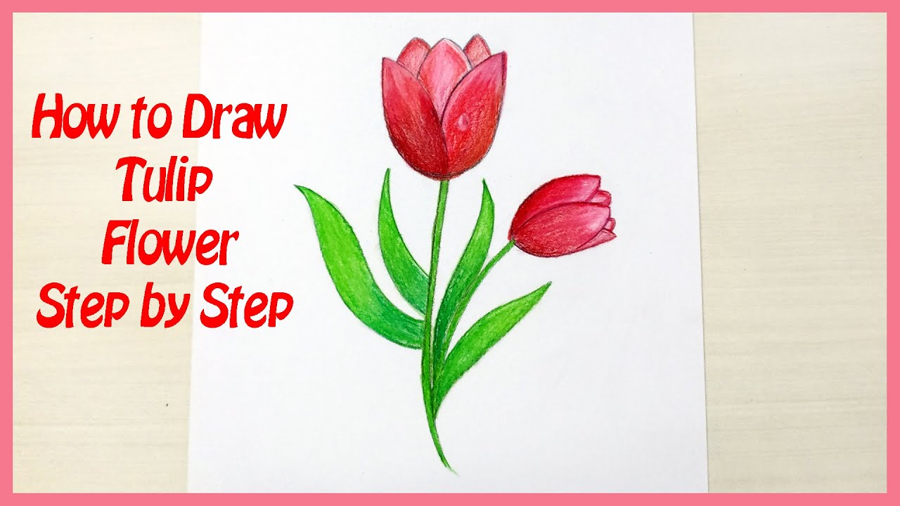 How to draw Tulip Flower Drawing Step by Step || ART for Class 4, ART for Class 5, ART for Class 6