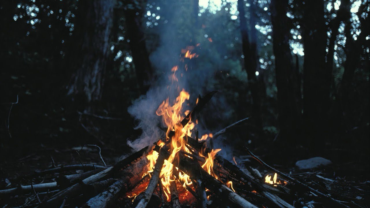 Campfire Crackling Ambience | Cozy Fire Sound for Sleep & Relax