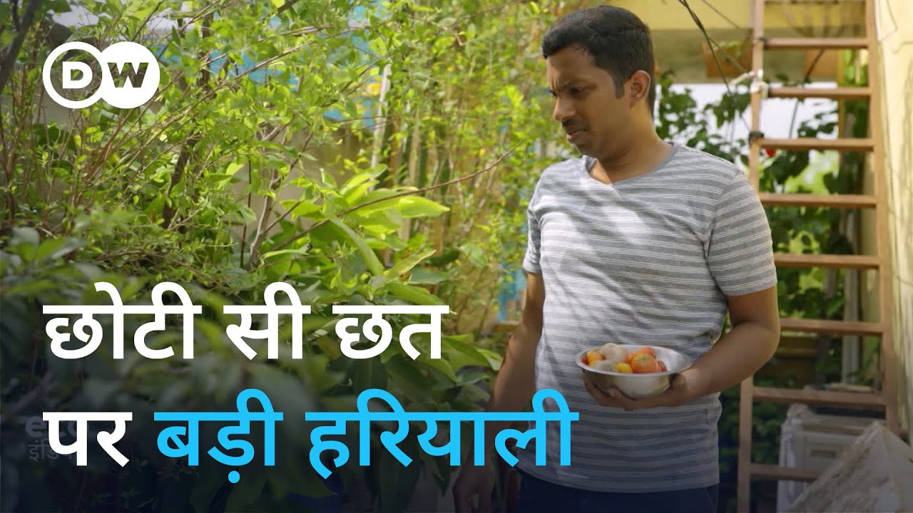 चेन्नई में घर की छत पर बने इस शानदार टैरेस गार्डन को देखिए [Chennai: How to grow food on a terrace]