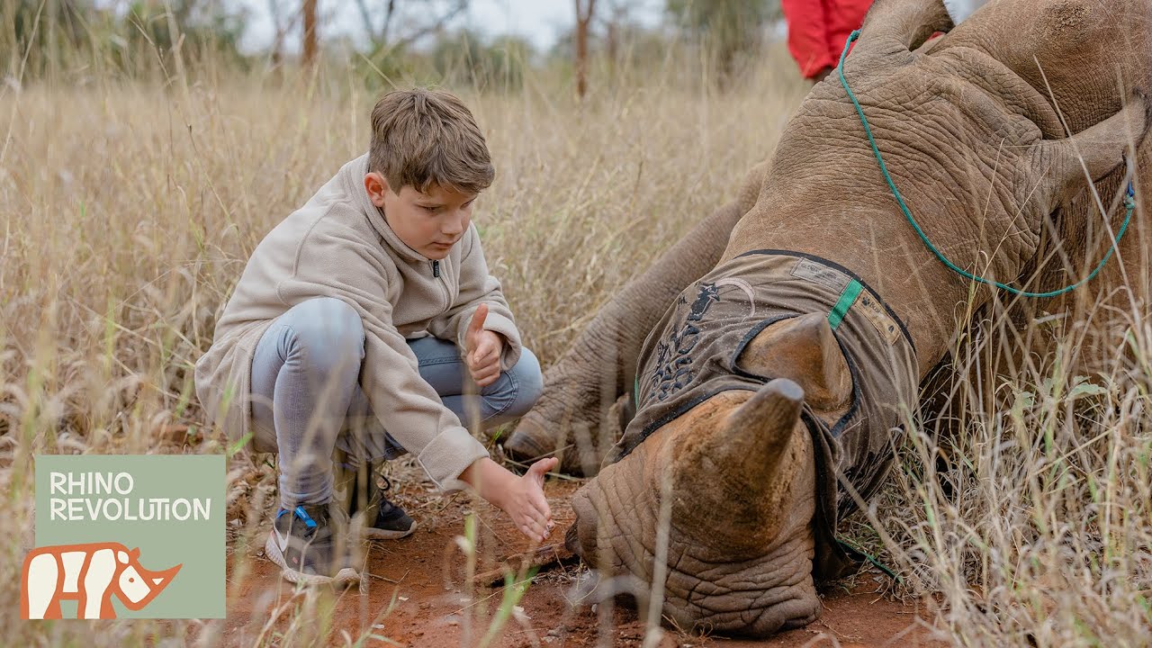 Max bei einem Horntrimming in S&uuml;dafrika - Erkl&auml;rvideo f&uuml;r Kinder