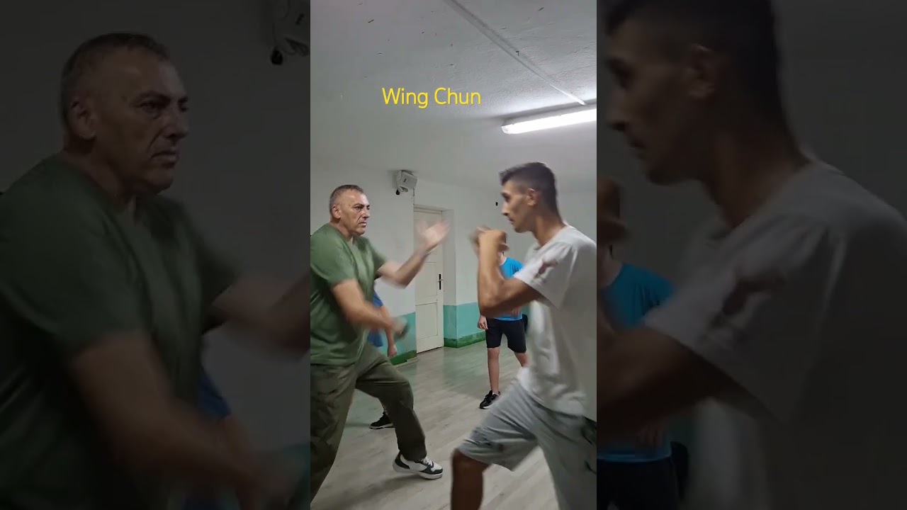 Wing Chun Naumov 🇲🇰 learn self defense #wingchun #wingchunkungfu #martialarts
