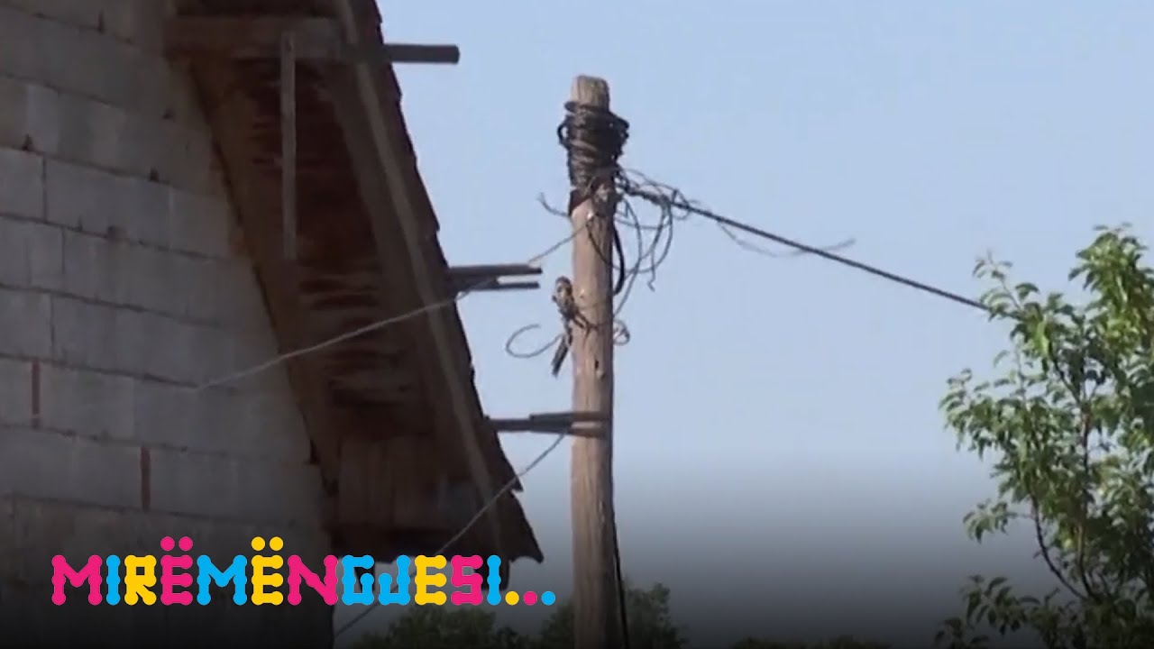 Lladroc të Malishevës ankohet se nuk është investuar në rrjetin elektrik që nga viti 1972.