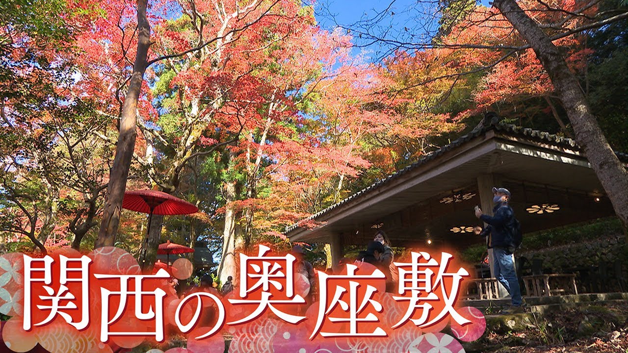 【美景】関西の奥座敷　今年ならではの紅葉　有馬温泉･瑞宝寺公園【Cameraman’sEye】