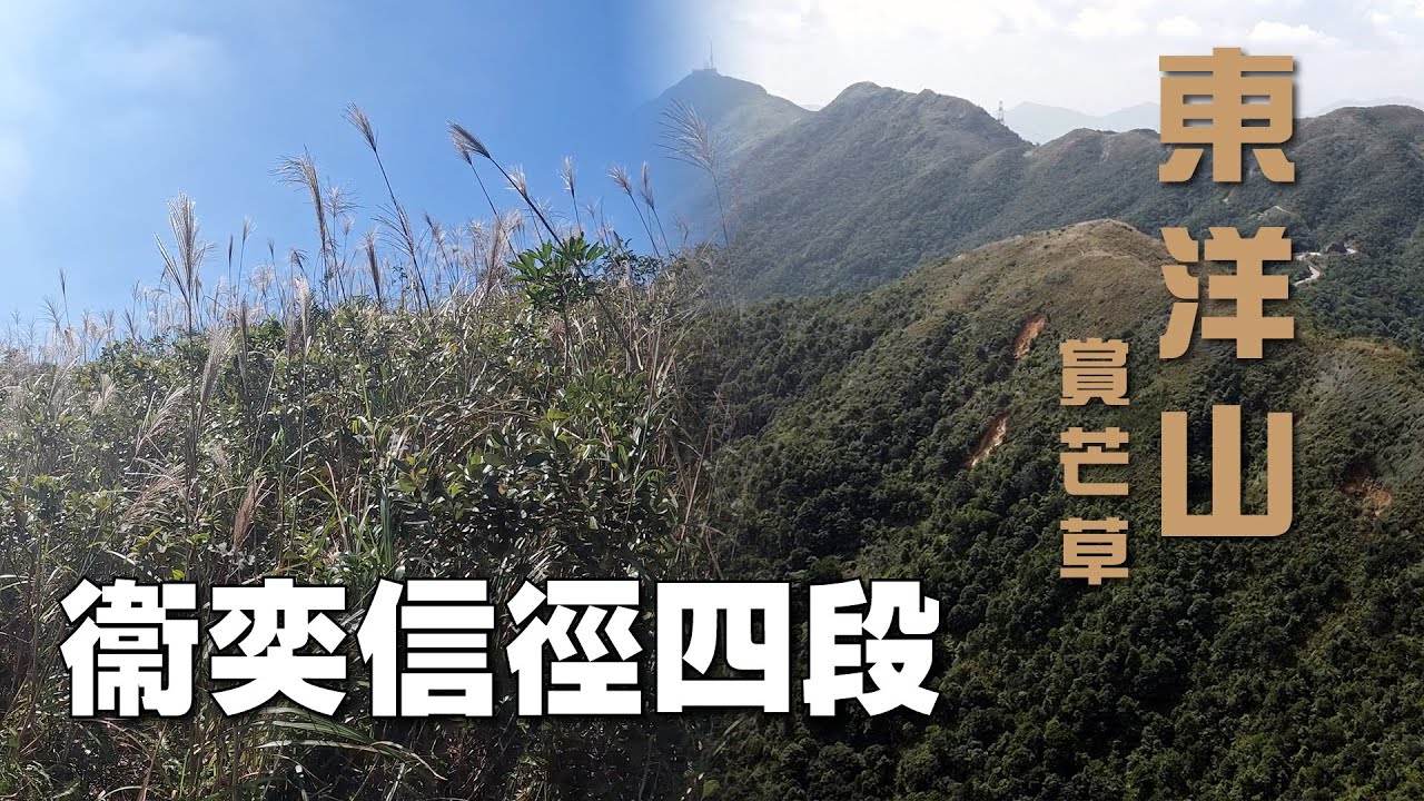 【衞奕信徑】衛奕信徑第四段｜井欄樹｜東洋山｜沙田坳 4K Hiking #36