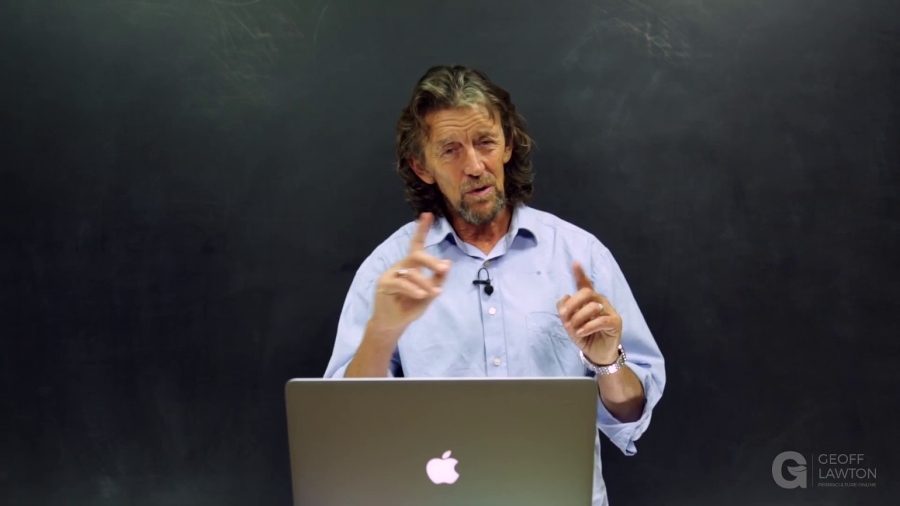 Q&A: Permaculture Aid-Work