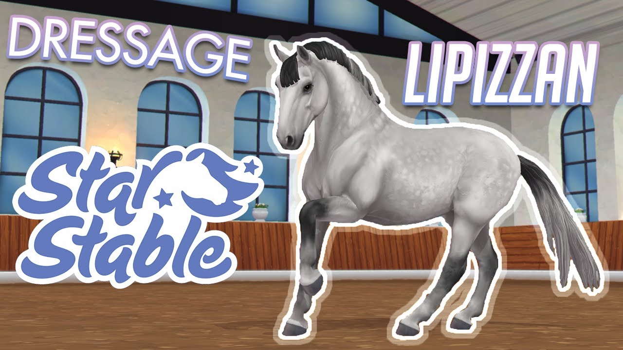 ACHAT LIPIZZAN & DRESSAGE (L'ENFER. 😡) | Star Stable - SSO
