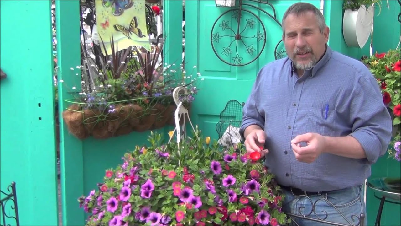 Hanging Basket Care by The Plant Farm®