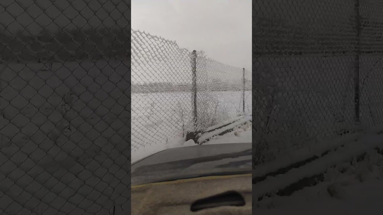 یک روز برفی بسیار زیبای#سنندج🌨️🌨️❄️🕊️🕊️🖤🖤🖤 