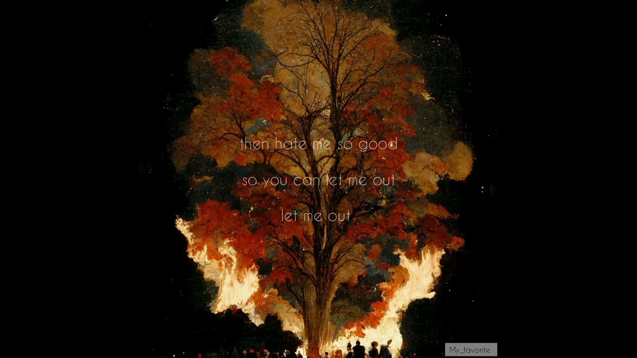 Damien rice & lisa hannigan _ rootless tree (lyrics)