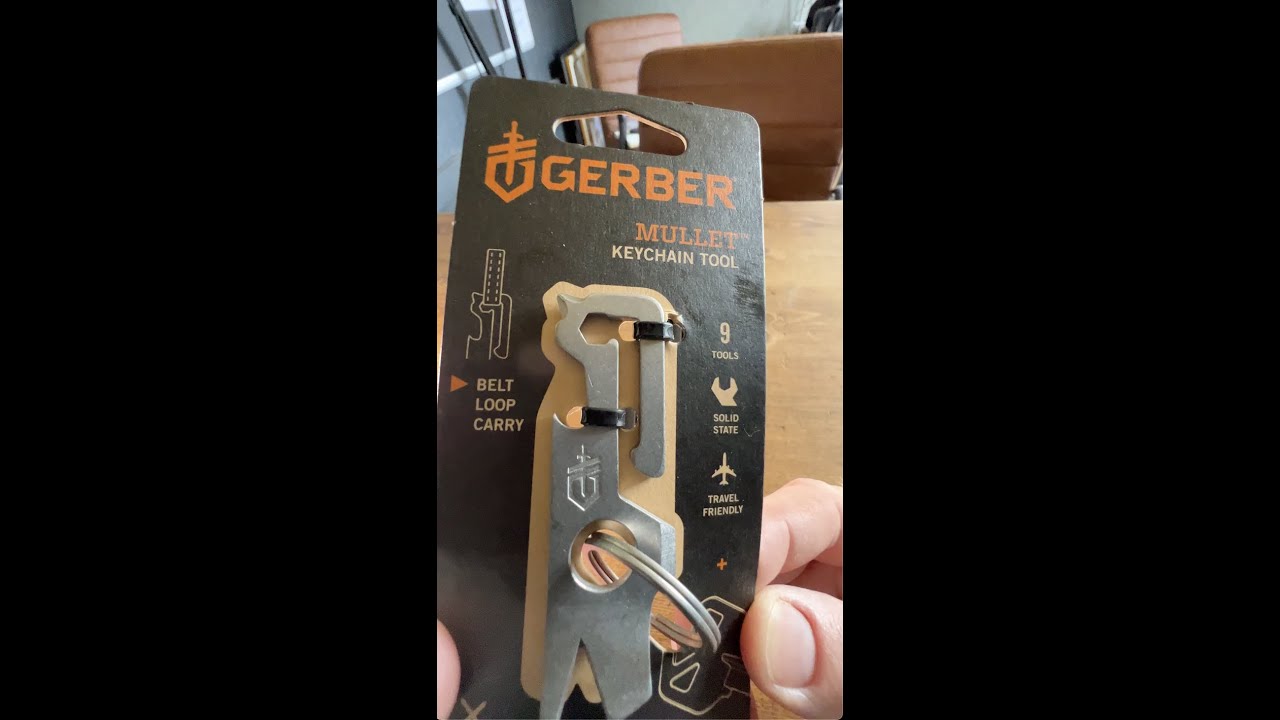 #shorts Gerber mullet