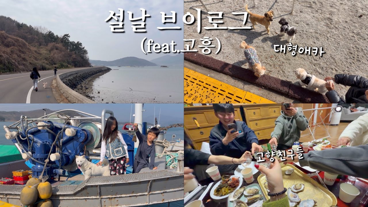 [vlog]2026 설날 브이로그🧧ㅣ고흥ㅣ고향친구들ㅣ가족브이로그ㅣ강아지 일상ㅣ🌊🦀🐟🚢