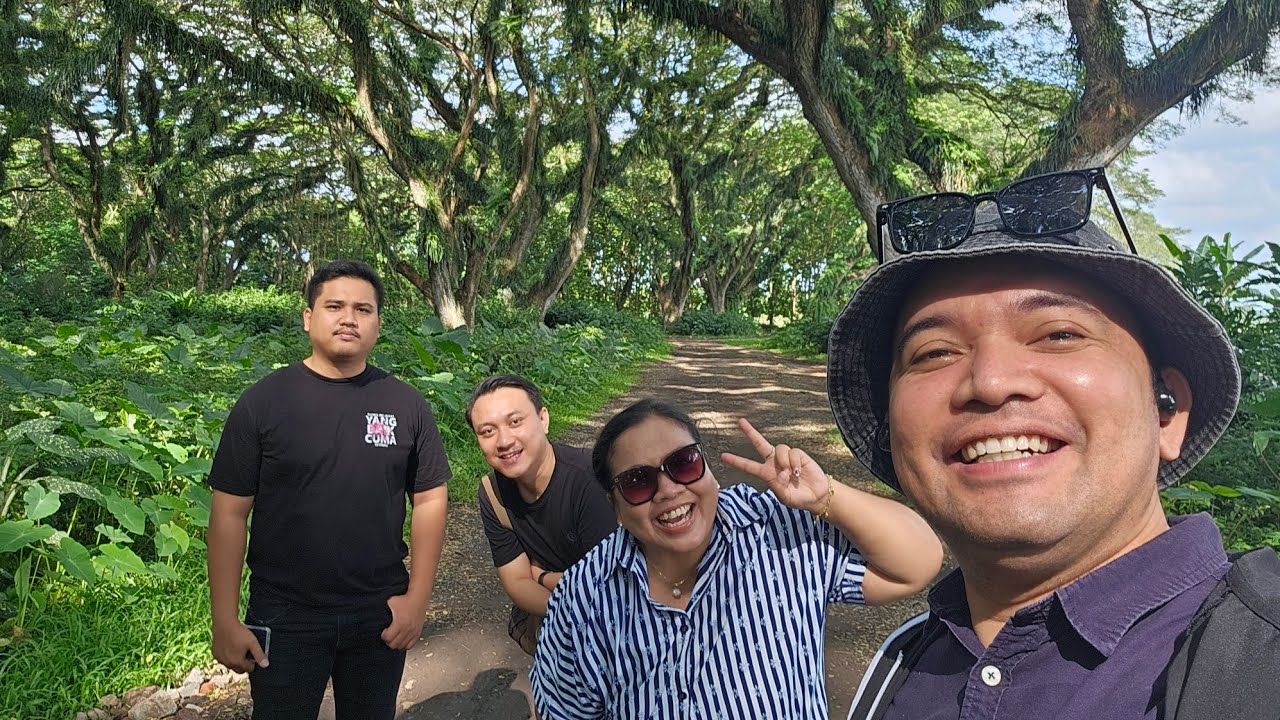 Inside De Djawatan Magical Forest Banyuwangi 