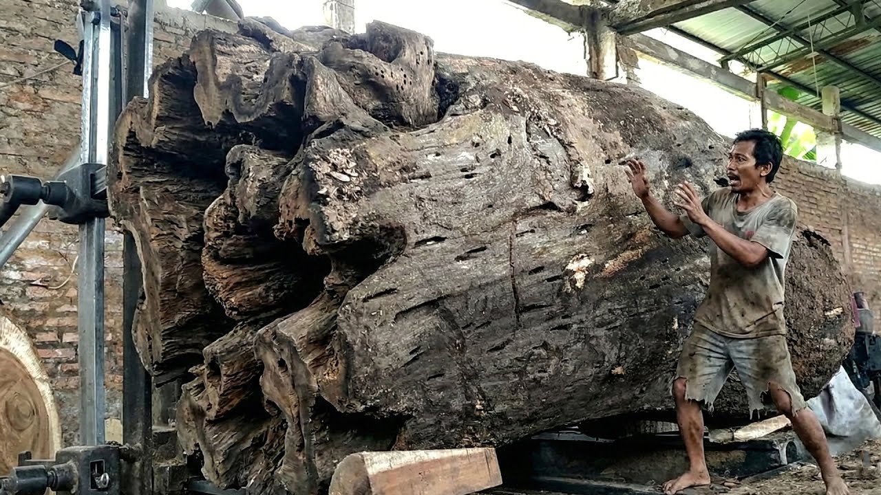 USA & AUSTRALIA IN SHOCK! Giant Sawmill Disaster Caught on Camera&mdash;Terrifying Woodworking Chaos