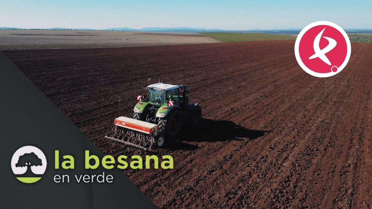Arranca con optimismo la siembra del cereal de invierno | La besana en verde