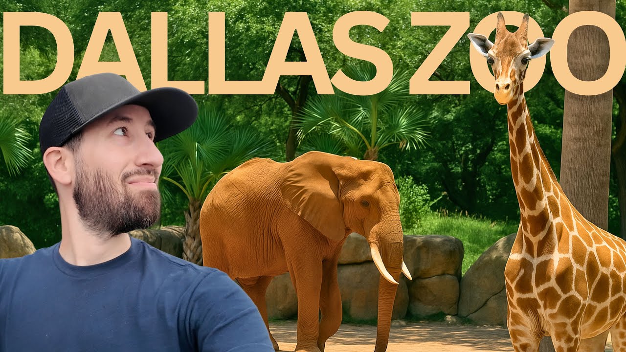 Exploring Dallas Zoo, One of America’s Top Rated?!