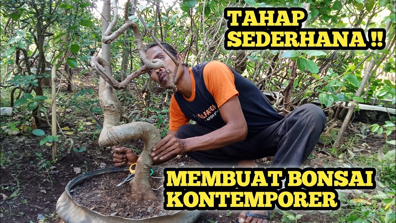 CARA MUDAH‼️MEMBUAT BONSAI KONTEMPORER 